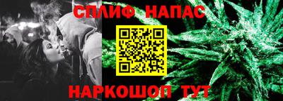 прущие грибы Северобайкальск
