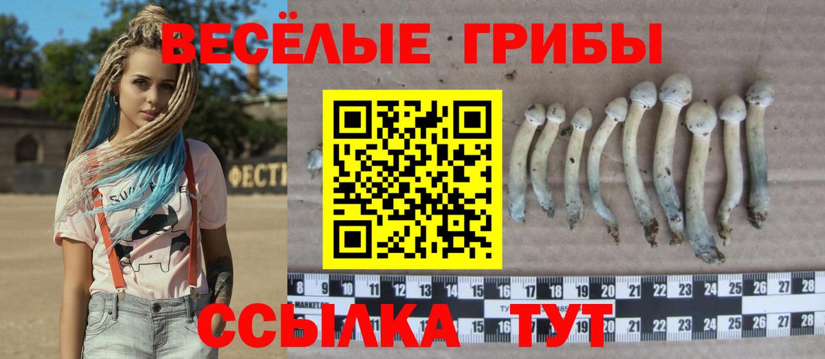купить  цена  Вход с VPN  Саяногорск  Псилоцибиновые грибы Magic Shrooms 